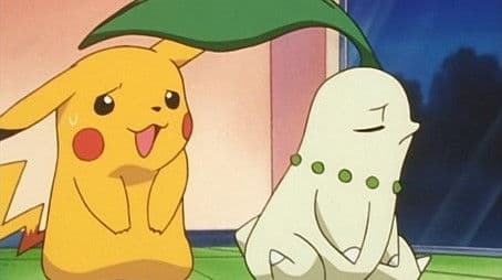 Chikorita's Big Upset