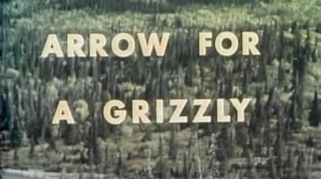 Arrow for a Grizzly
