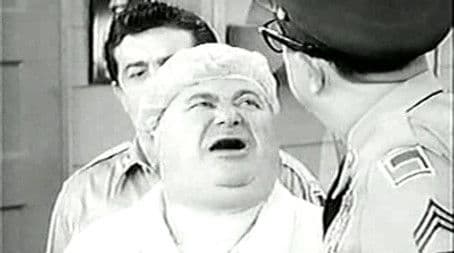 Doberman Missing Heir