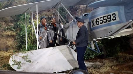 Birdman of Shady Rest