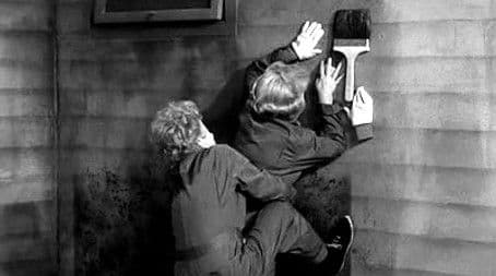 Lucy Builds a Rumpus Room