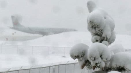 Black Diamond Jet Team