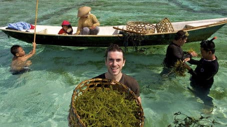 Indonesia to Australia