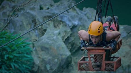 United, But Divided?