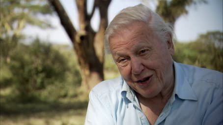 Interview with Sir David Attenborough
