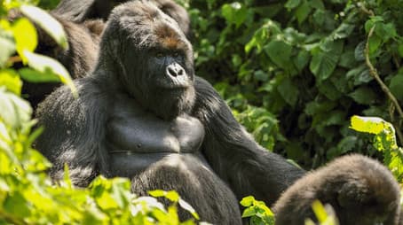 Kingdom in the Clouds