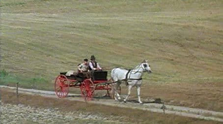 Huck Sawyer-Tom Finn