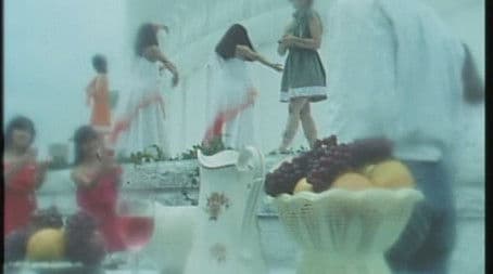 The Bear-Hunting Grandpa Saw the Wondrous Poison Flower