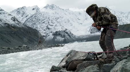 The Top of the Bottom of the World: New Zealand Tahr (2)