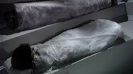 Planet of the Spiders (5)