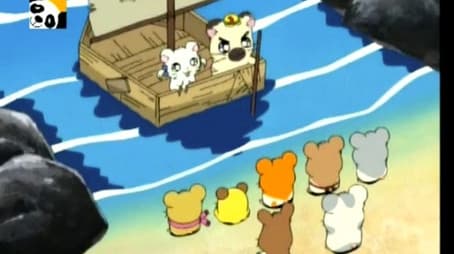 Boss, the Cool Ham of the Sea!