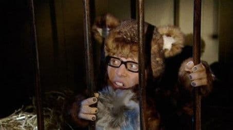 Blame It On The Bearboy