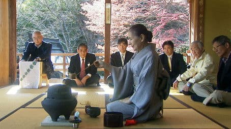 Tsuruko's Tea Journey