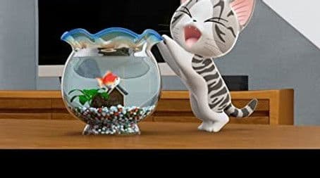 Chi And The Goldfish