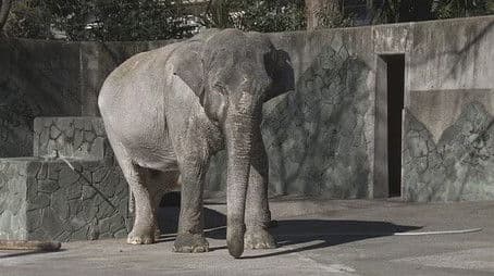 Tokyo in the middle of winter, the name is ”Hanako“