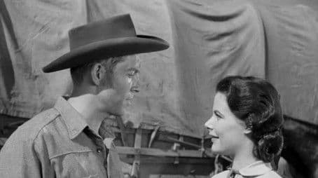 Miracle of the Sea Gulls