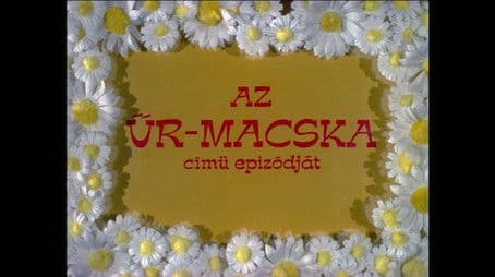 Az űr-macska