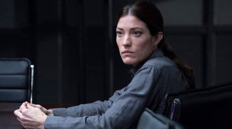 The Ambassador's Wife