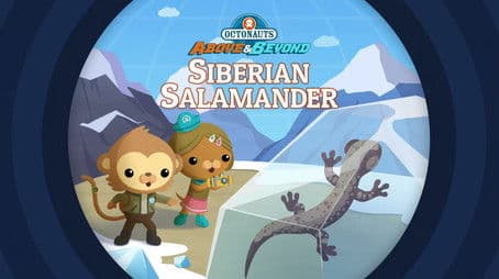 The Octonauts and the Siberian Salamander
