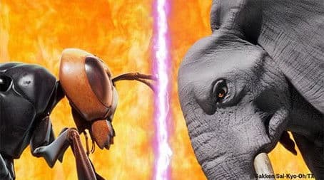 African Elephant VS Giant Hornet