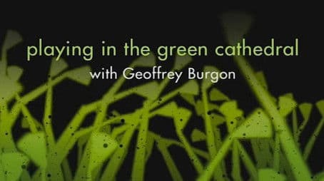 Playing in the Green Cathedral