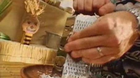 Down & Out in Paradise