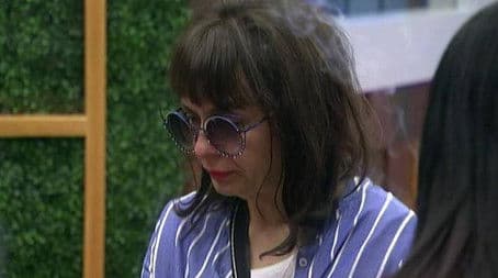 VIP Brother 2016 - Daily