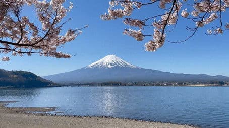 Fuji Five Lakes: The Water of Life