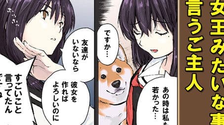 The Misunderstood Ones (Master`s Story) / The Misunderstood Ones (Shiba Inu Story)