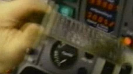 Flowers of the Mountains