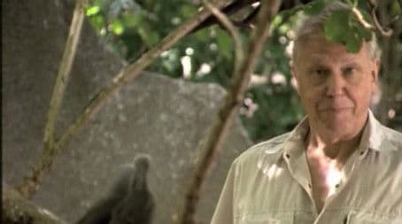 The Problems of Parenthood