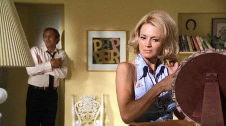 Warning: All Wives...