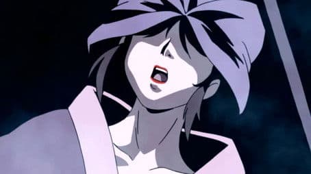 The Shibaemon Racoon Dog