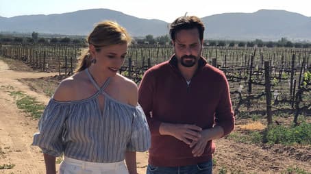 Mexican Wine Country