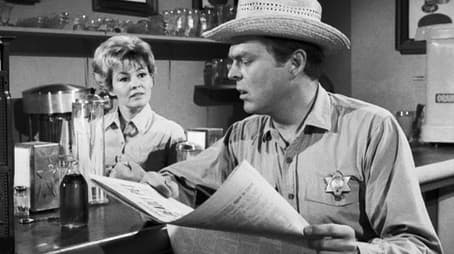 All the Scared Rabbits