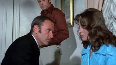 The Solid Gold Kidnapping (2)