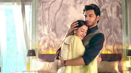 Aman Rescues Roshni!