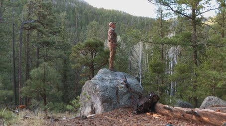 Conservation History: New Mexico Turkey