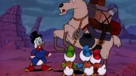 Wronguay in Ronguay (2)