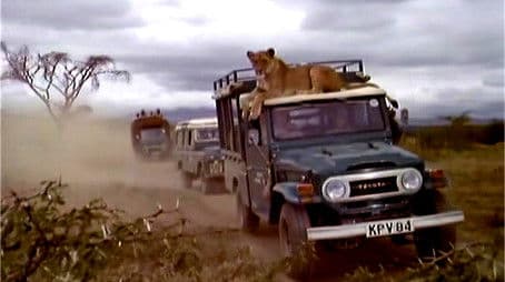 The Maneaters of Merti