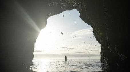 Tides and Predators - The Wild West and North coasts