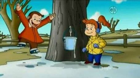 Maple Monkey Madness