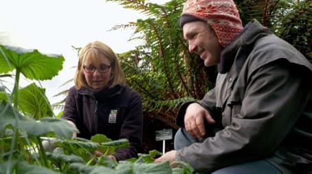 Episode 32 Vegie Patch Protection, Wildlife Friendly & Fruit Pots