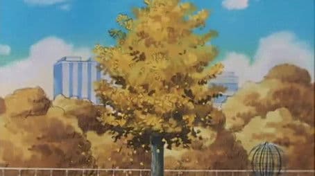 The Shower of Withered Leaves