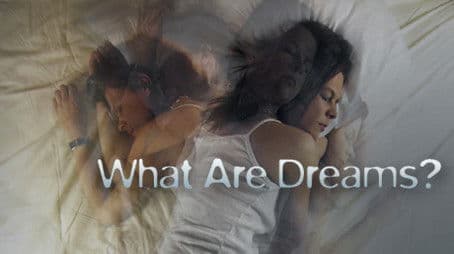 What Are Dreams?