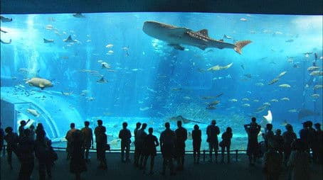 Aquariums