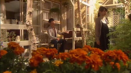 The start of an unforgivable love