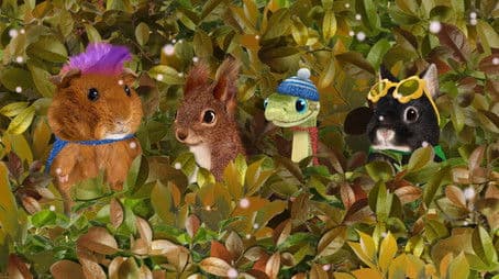 Help the Red Squirrel! / Help the Dung Beetle!