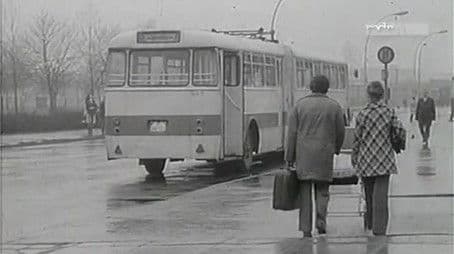 Ein Fall ohne Zeugen