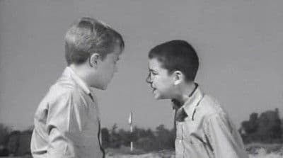 The Day of the Bullet